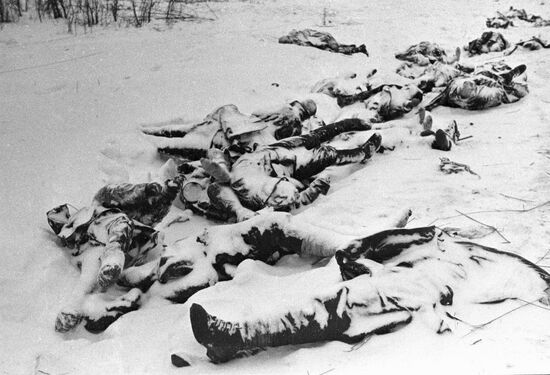 Великая Отечественная война 1941-1945 гг.