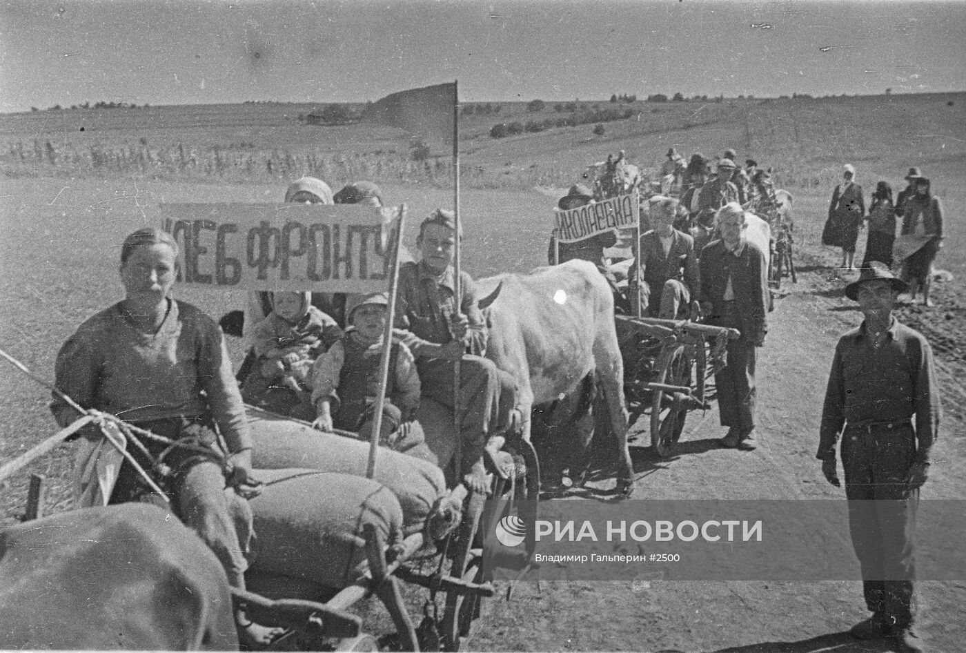 Великая Отечественная война 1941-1945 гг.