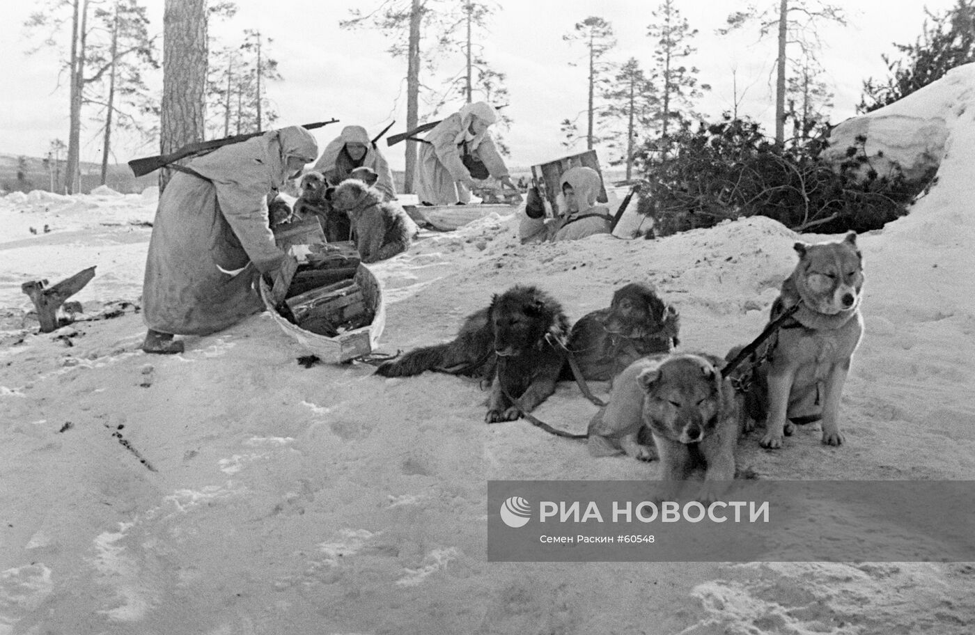 Великая Отечественная война 1941-1945 гг