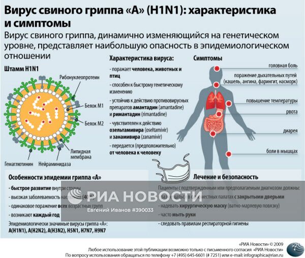 Вирус свиного гриппа «A» (H1N1): характеристика и симптомы