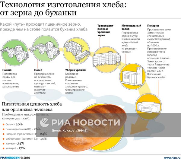 Технология изготовления хлеба: от зерна до буханки