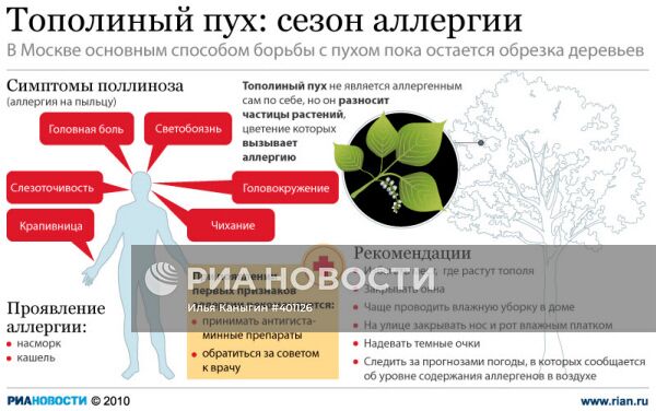 Тополиный пух: сезон аллергии