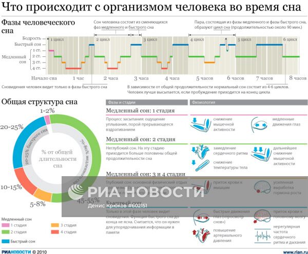 Что происходит с организмом человека во время сна