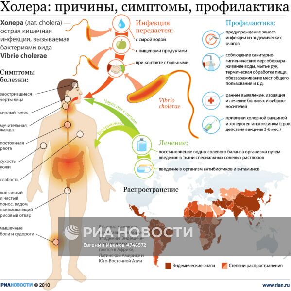 Холера: причины, симптомы, профилактика