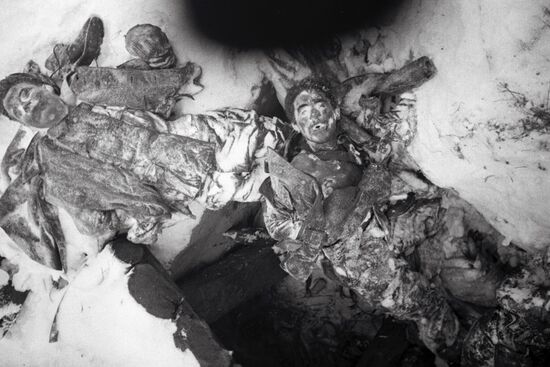 Великая Отечественная война 1941-1945 гг.