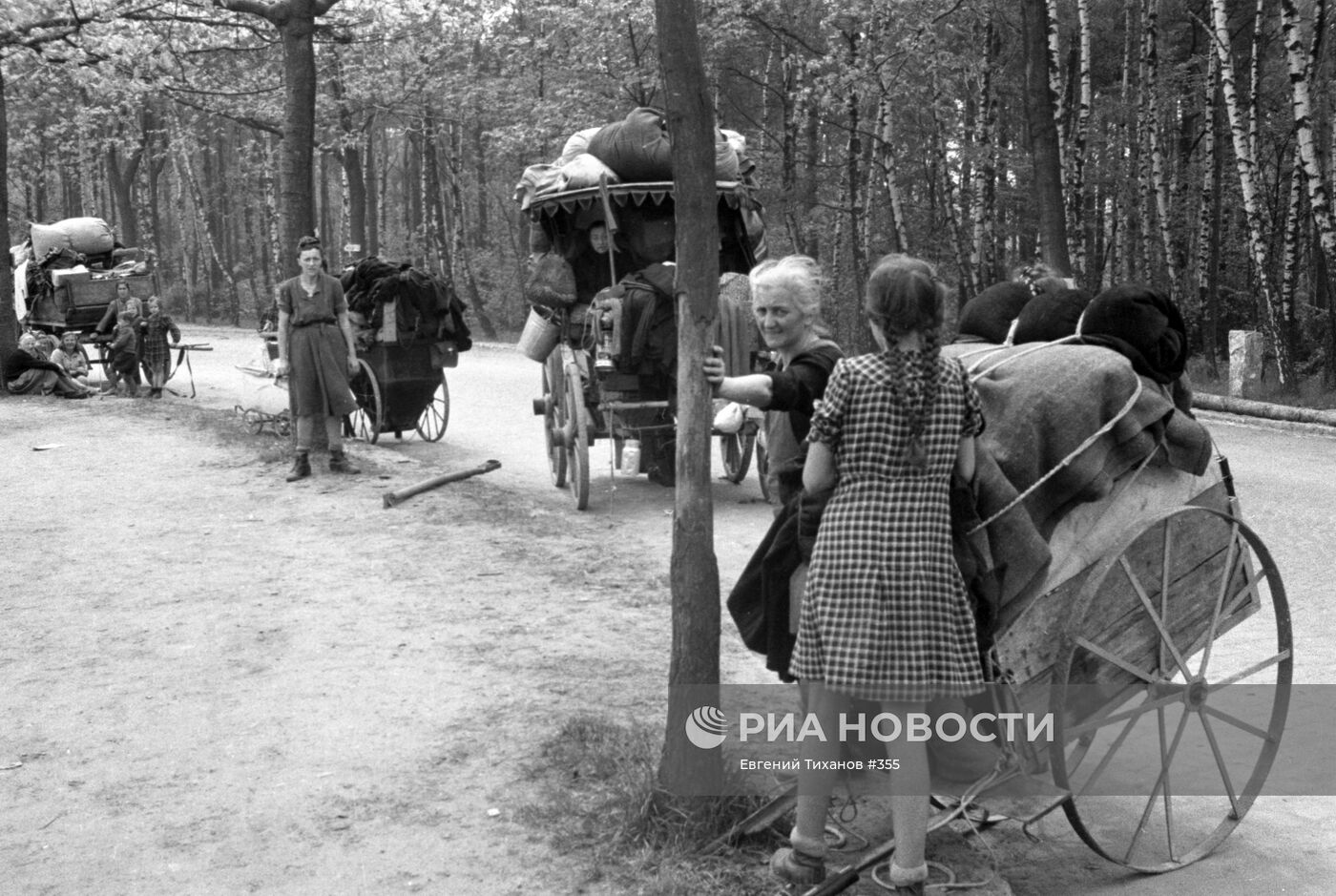 Великая Отечественная война 1941-1945 гг.