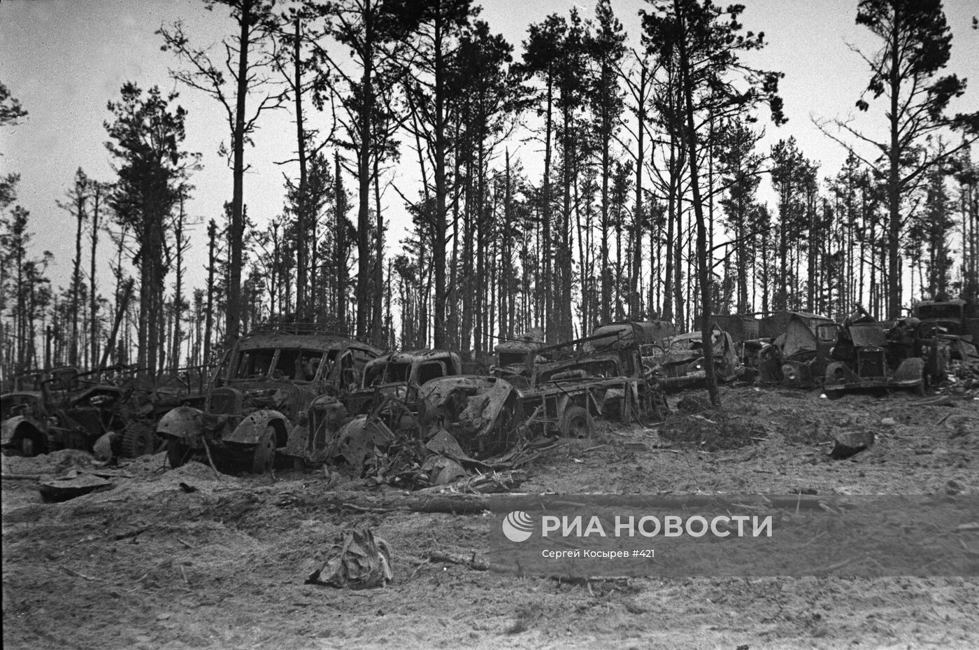 Великая Отечественная война 1941-1945 гг.