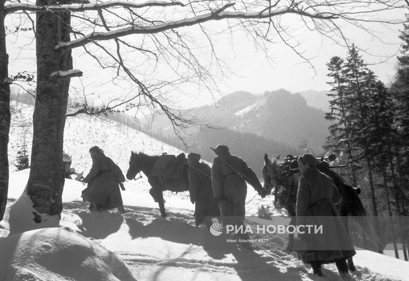 Великая Отечественная война 1941-1945 гг.
