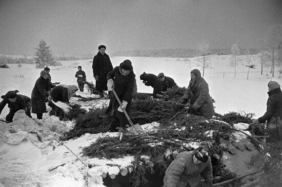 Великая Отечественная война 1941-1945 гг.