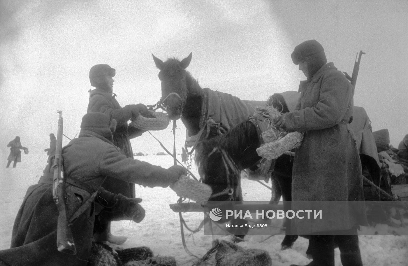 Великая Отечественная война 1941-1945 гг.