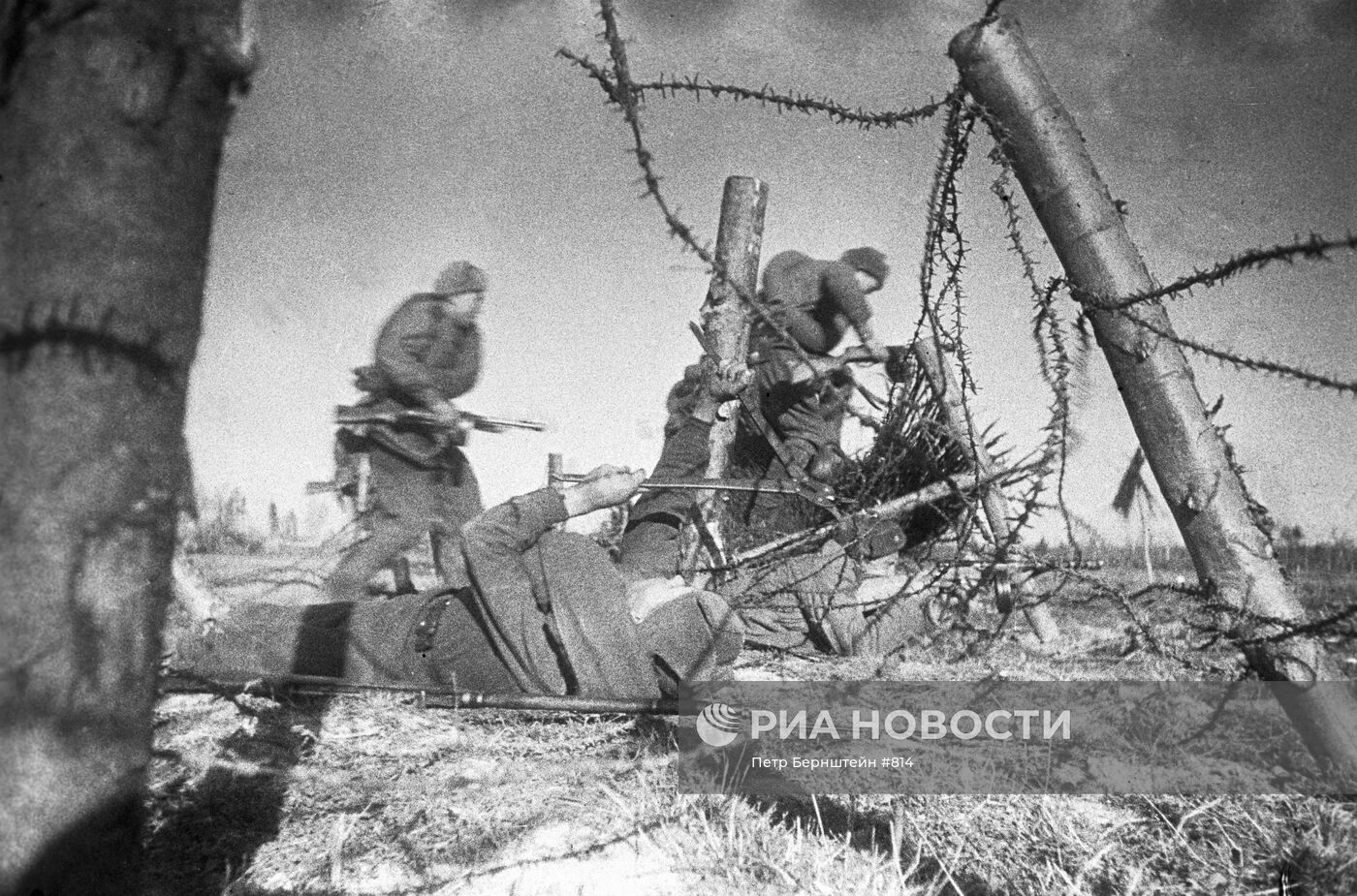 Великая Отечественная война 1941-1945 гг.