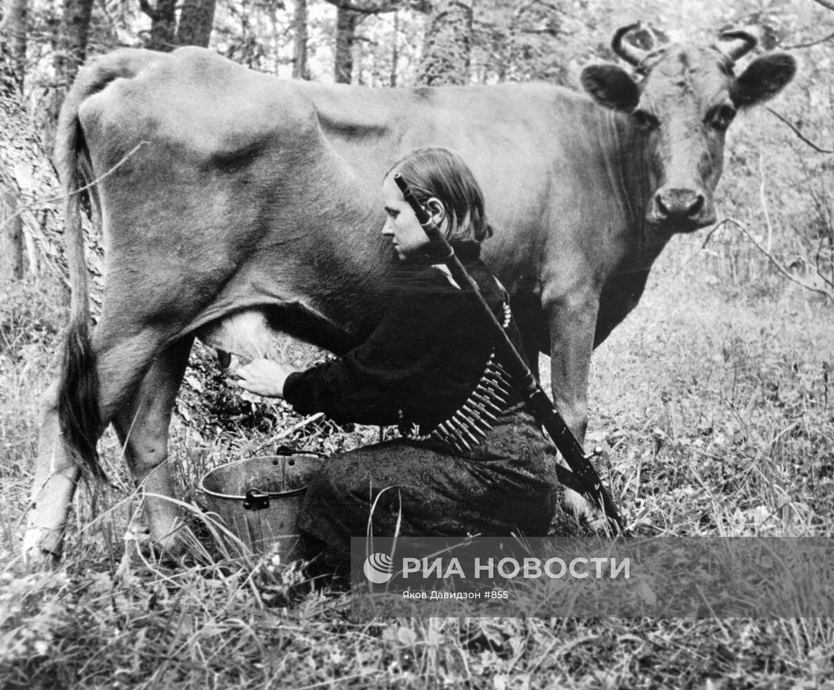 Великая Отечественная война 1941-1945 гг.