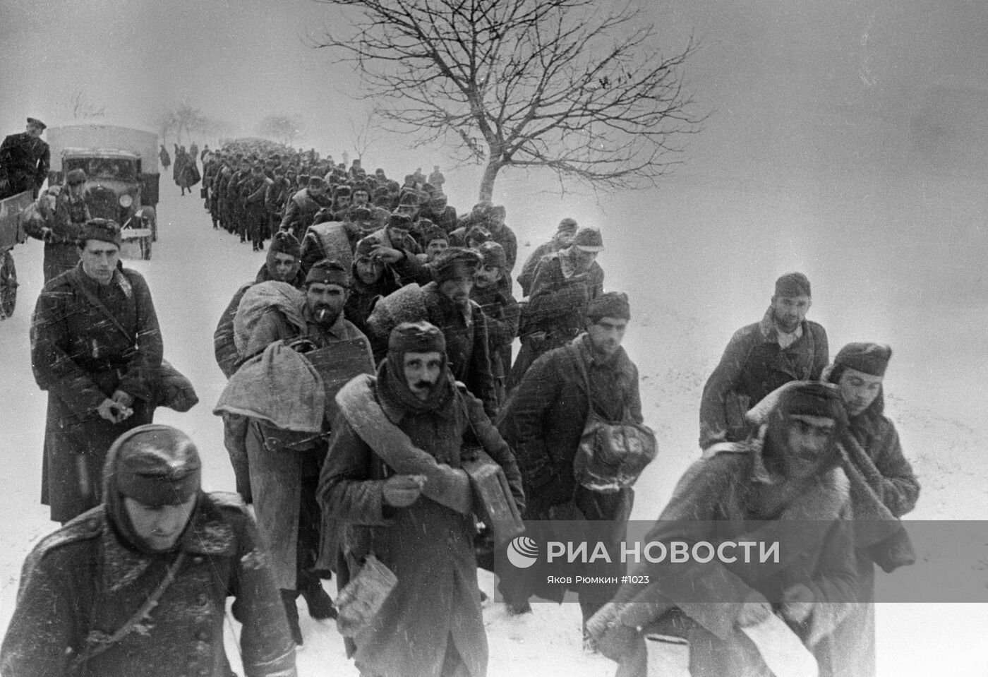 Великая Отечественная война 1941-1945 гг.