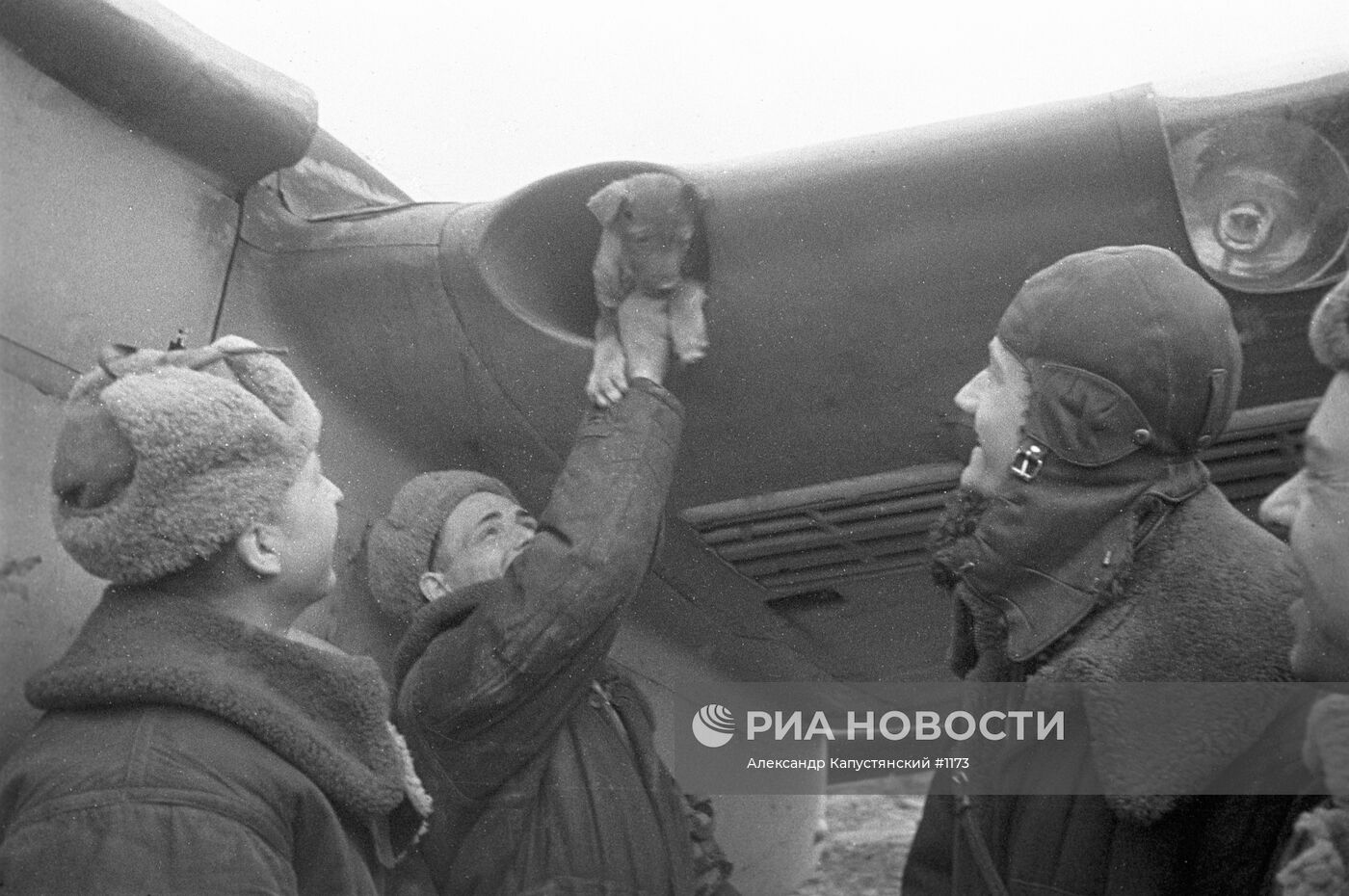 Великая Отечественная война 1941-1945 гг.