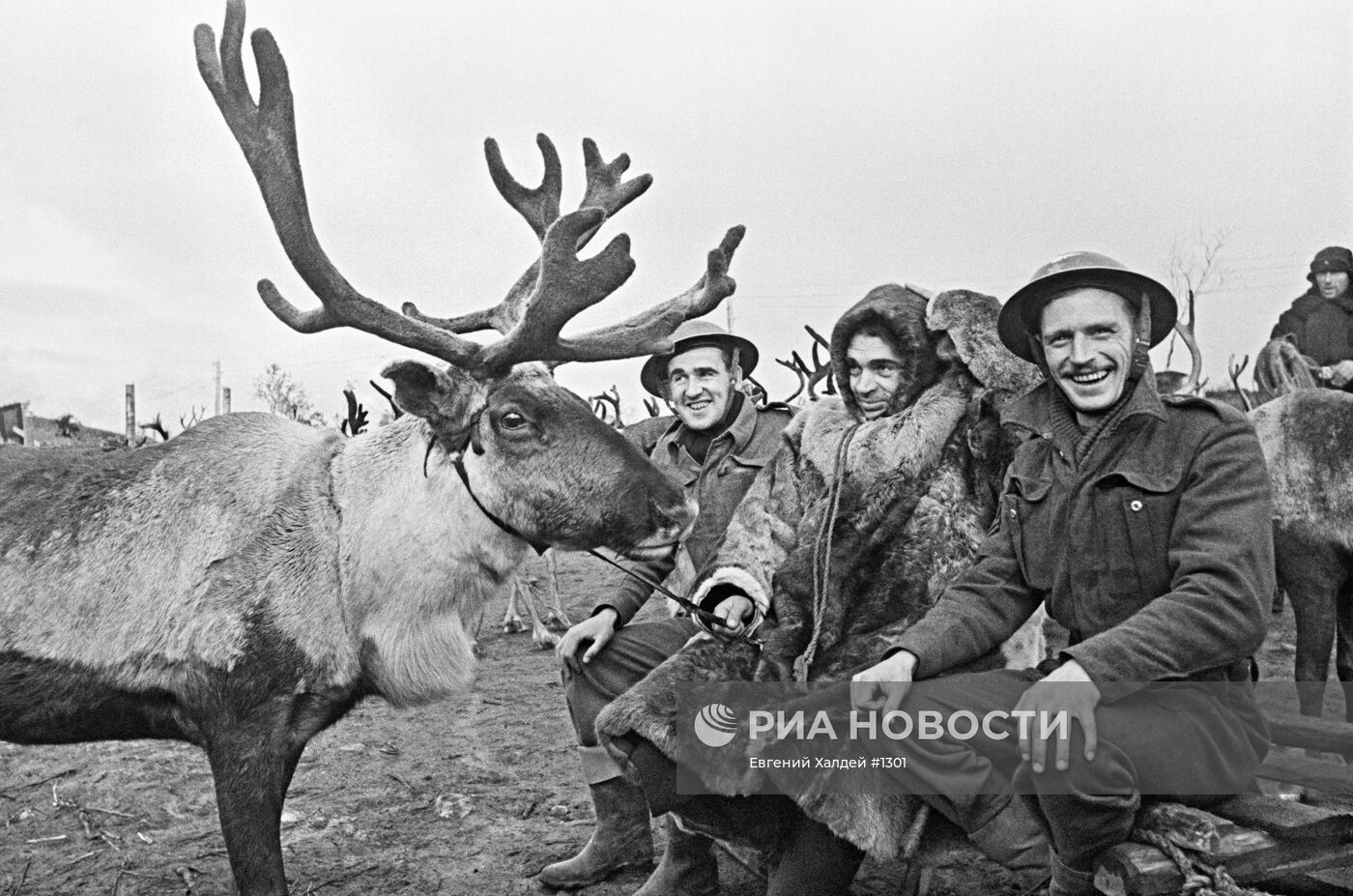 Великая Отечественная война 1941-1945 гг.