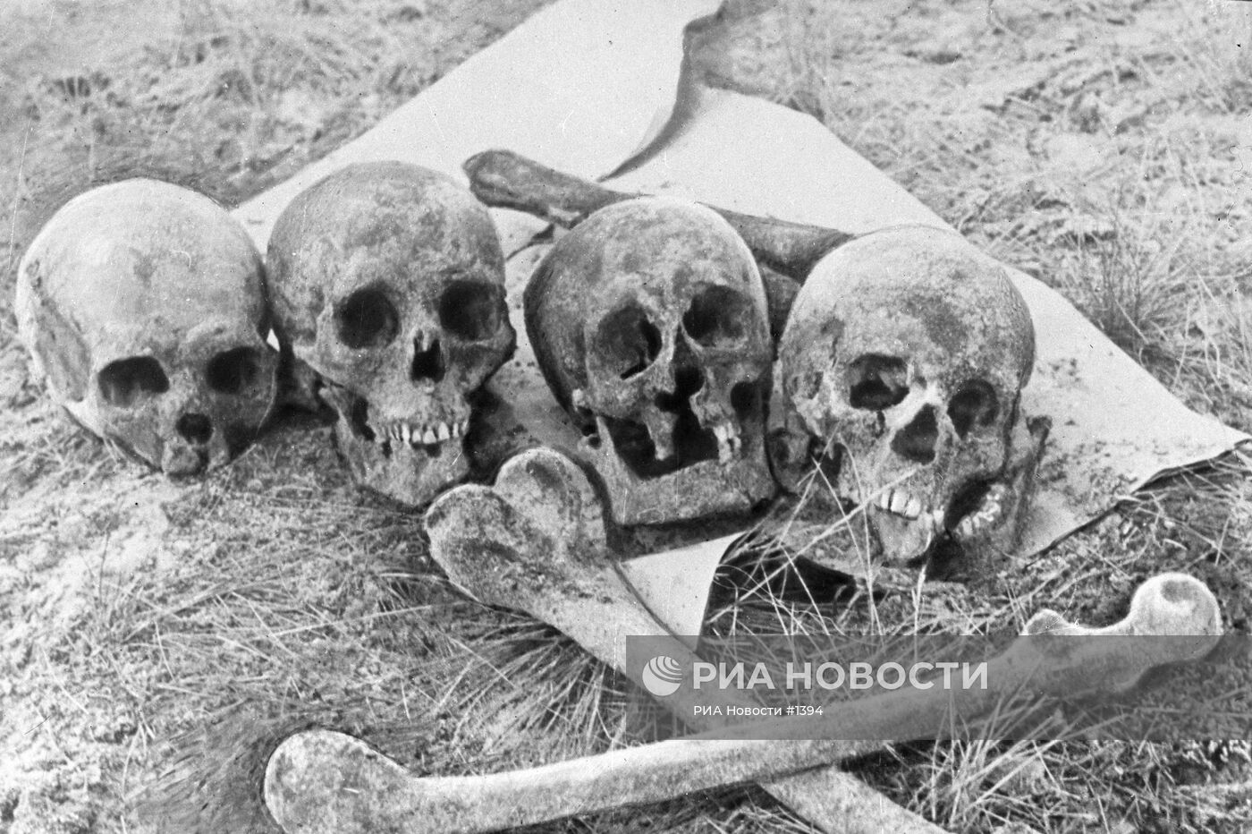 Человеческие останки на месте массовых убийств в урочище Калеви-Лийва