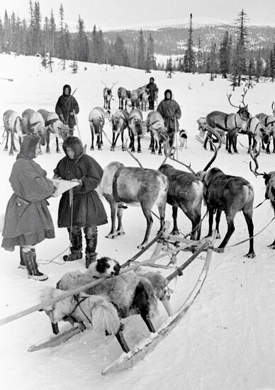 Великая Отечественная война 1941-1945 гг.