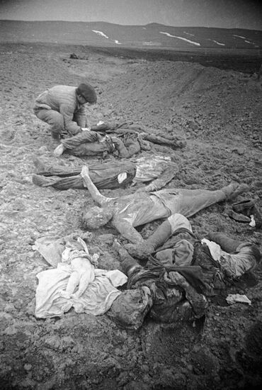 Великая Отечественная война 1941-1945 гг.