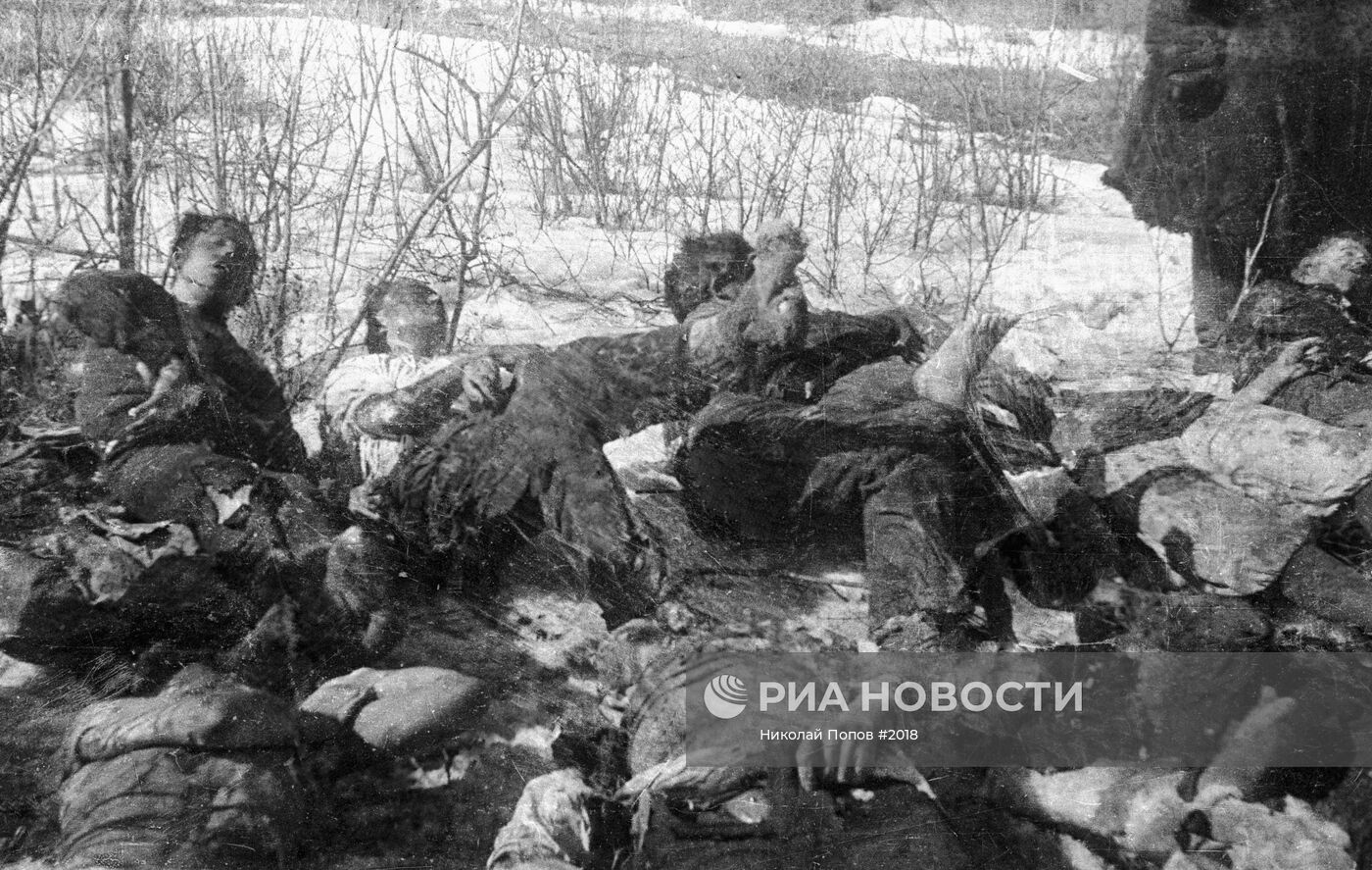 Великая Отечественная война 1941-1945 гг.