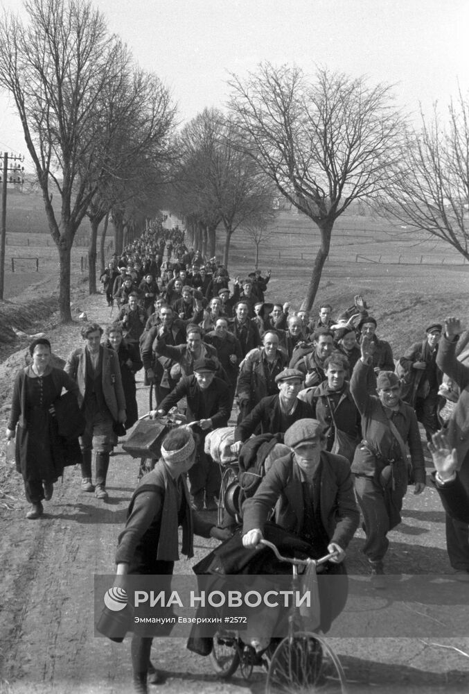 Великая Отечественная война 1941-1945 гг.