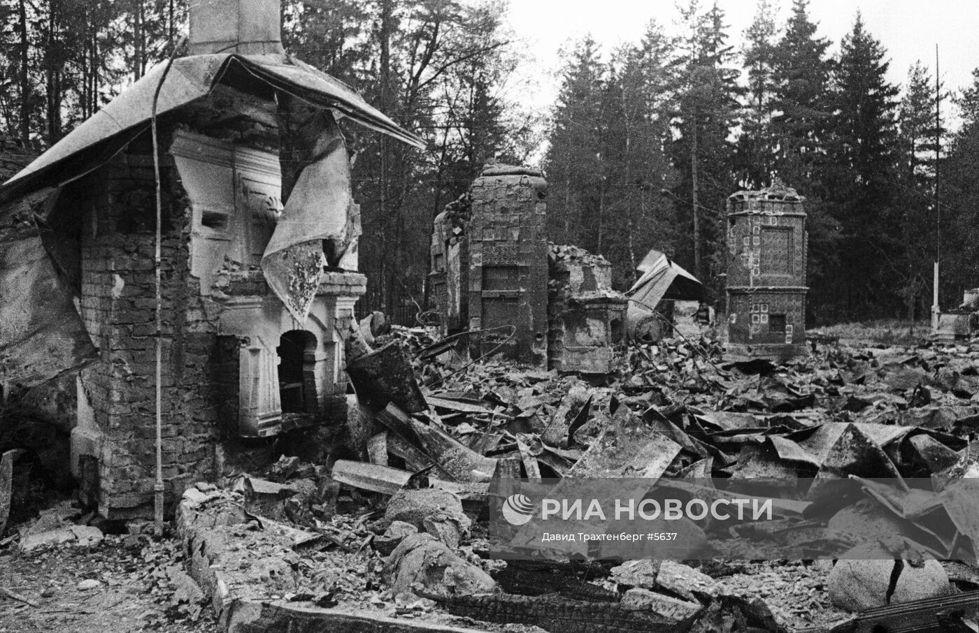 Великая Отечественная война 1941-1945 гг.
