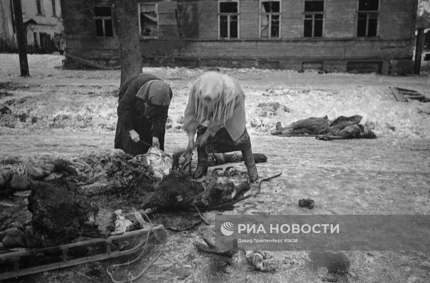 Великая Отечественная война 1941-1945 гг.