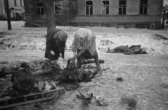 Великая Отечественная война 1941-1945 гг.