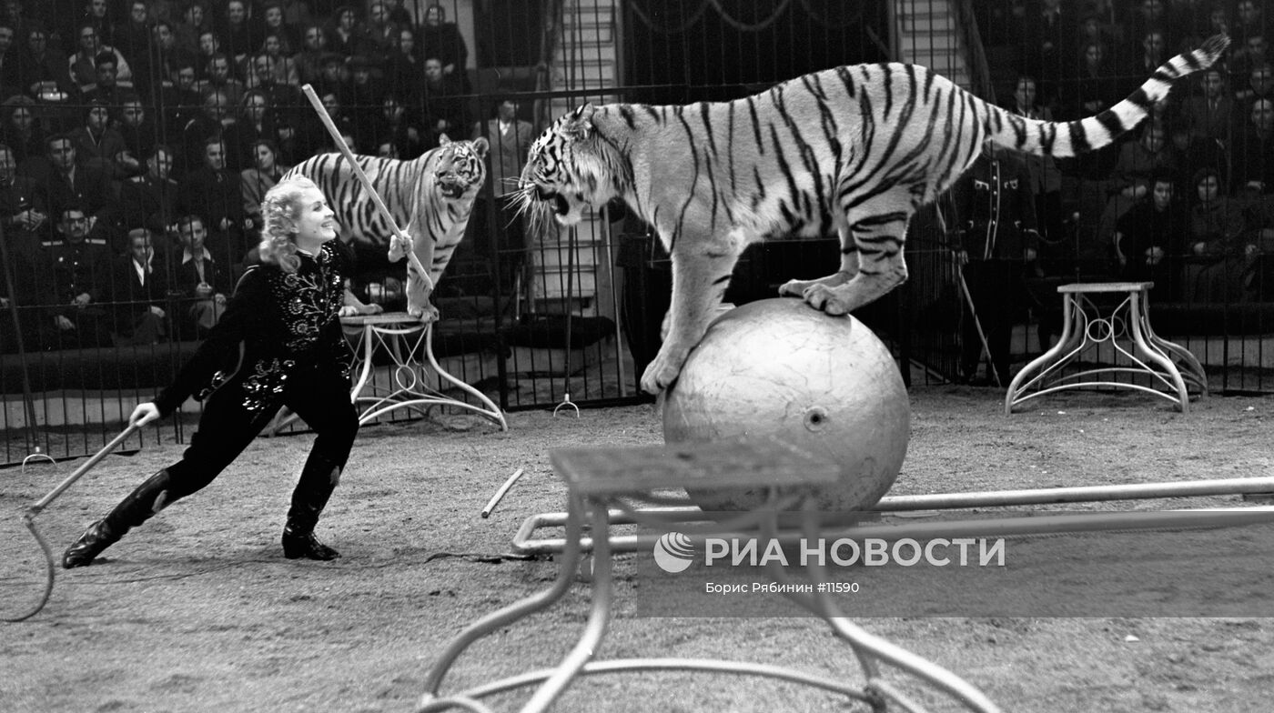 Укротительница Маргарита Назарова