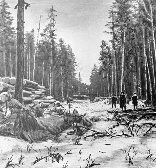 Первая улица Комсомольска-на-Амуре