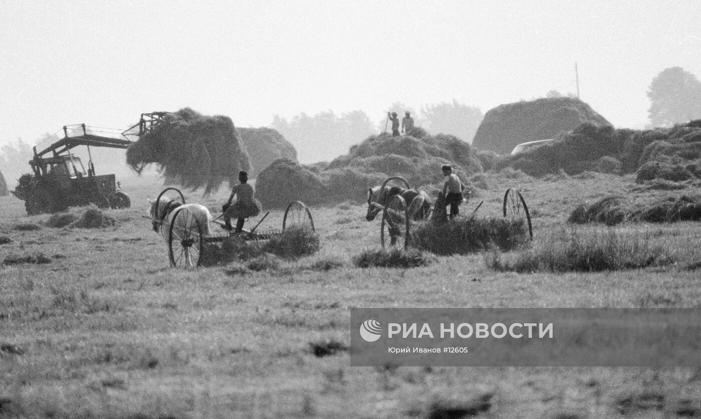 СЕНОКОС КОЛХОЗ ТРАКТОРЫ | РИА Новости Медиабанк