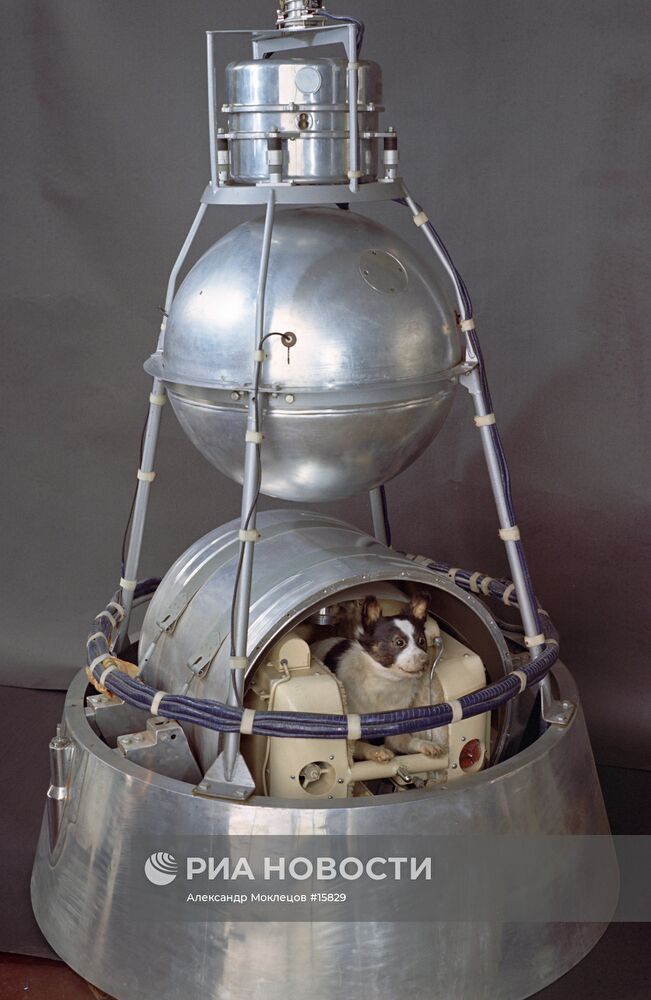Второй искусственный спутник Земли с "космонавтом" Лайкой на бор