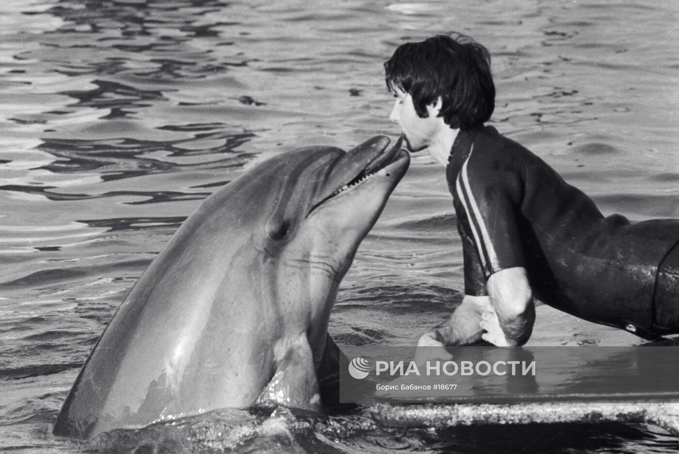 Батумский дельфинарий