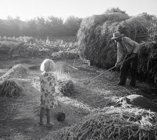 УБОРКА УРОЖАЯ