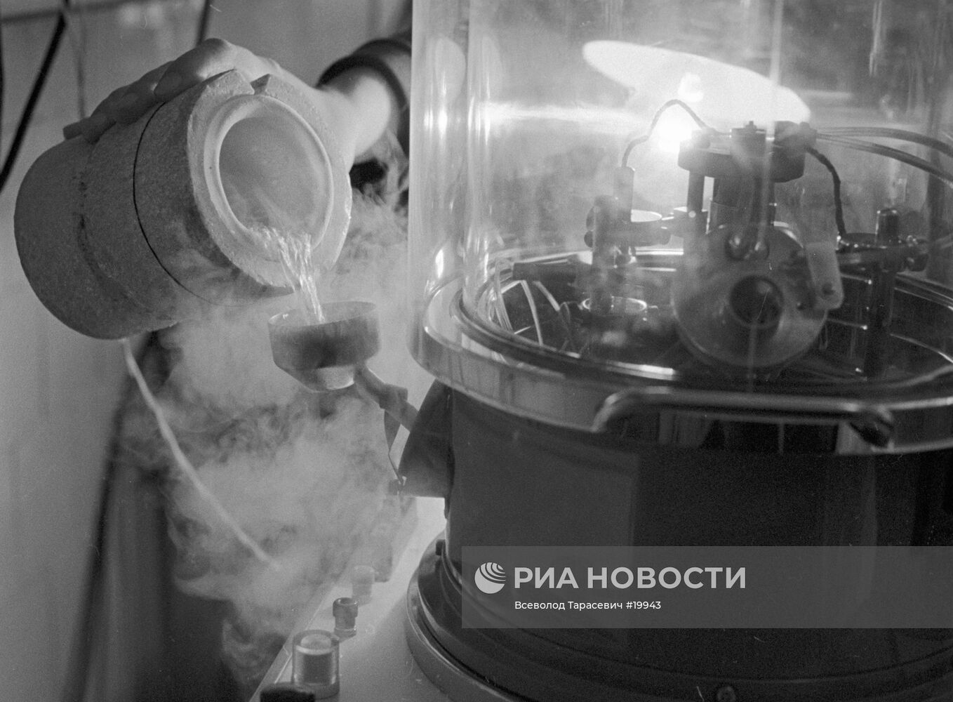 АЗОТ КЛЕТКА ИСТИТУТ БИОЛОГИЧЕСКОЙ ФИЗИКИ