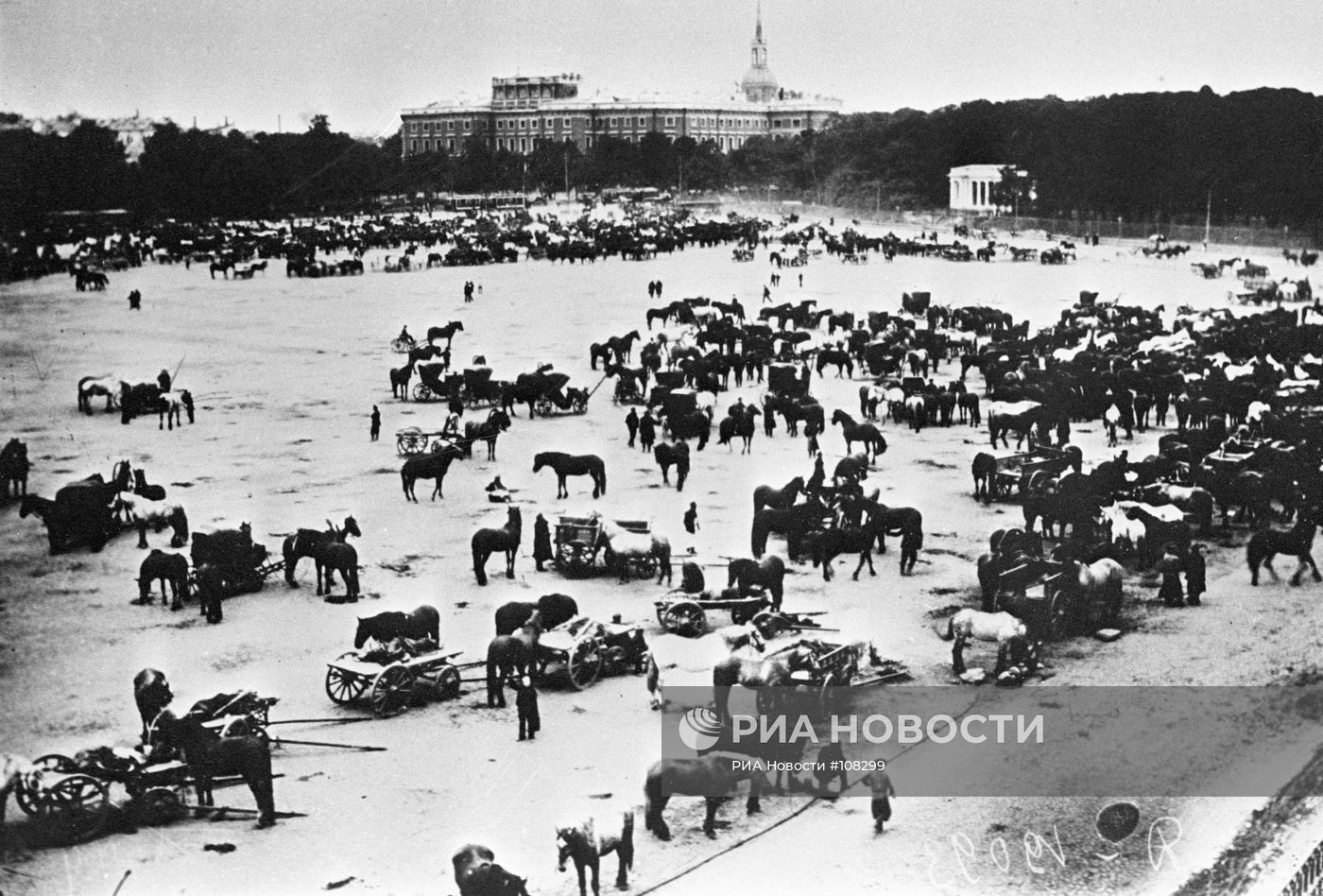 ЛОШАДИ ПРИЕМ АРМИЯ ВОЙНА