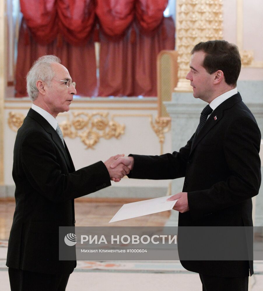 Дмитрий Медведев принял верительные грамоты послов ряда стран