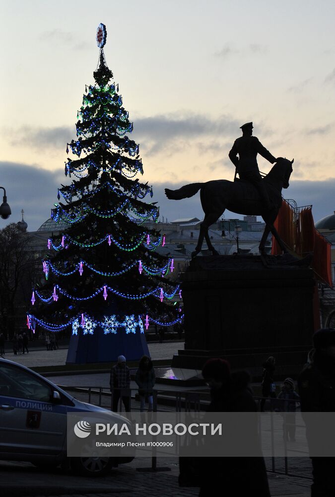 Новогодние елки в Москве