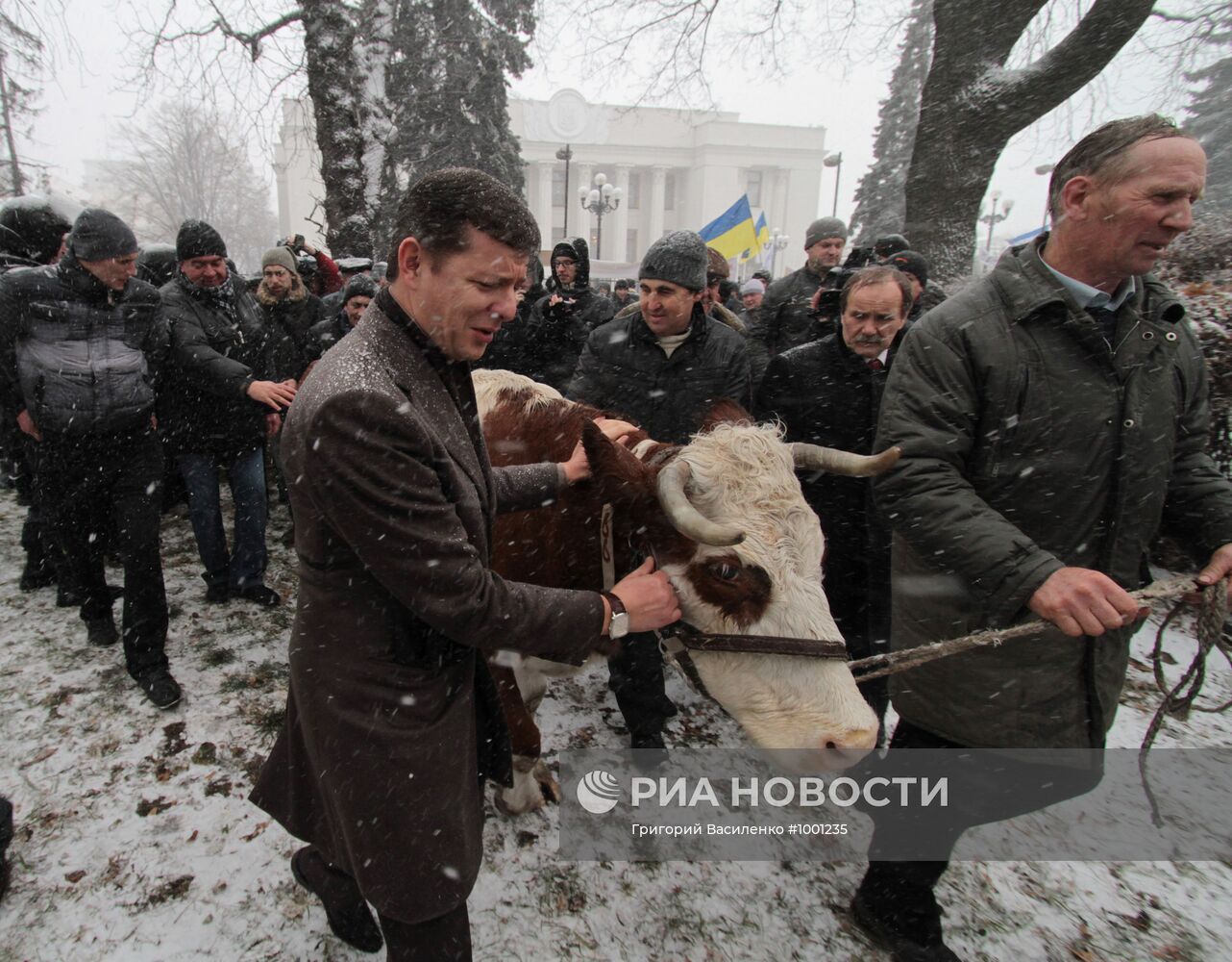 Протест украинских аграриев у здания Верховной Рады