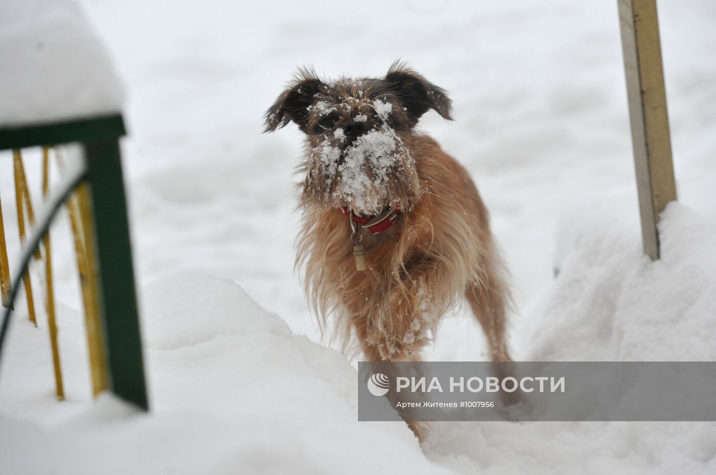 Снегопад в Москве