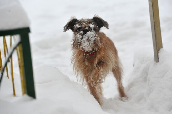 Снегопад в Москве