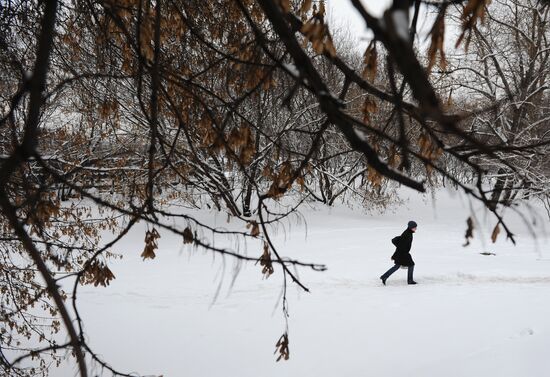 Снегопад в Москве