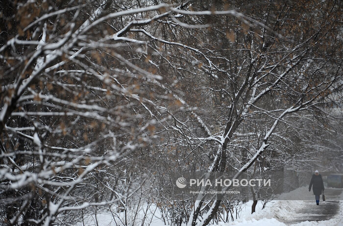 Снегопад в Москве
