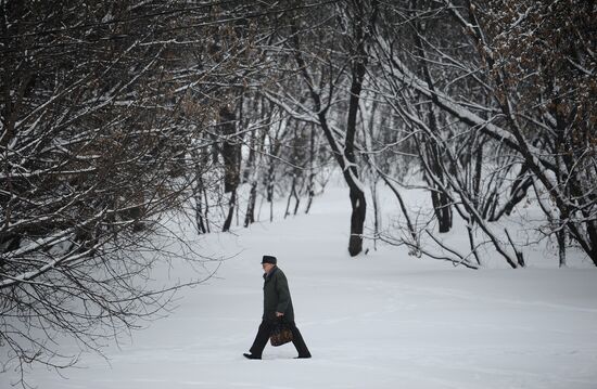 Снегопад в Москве