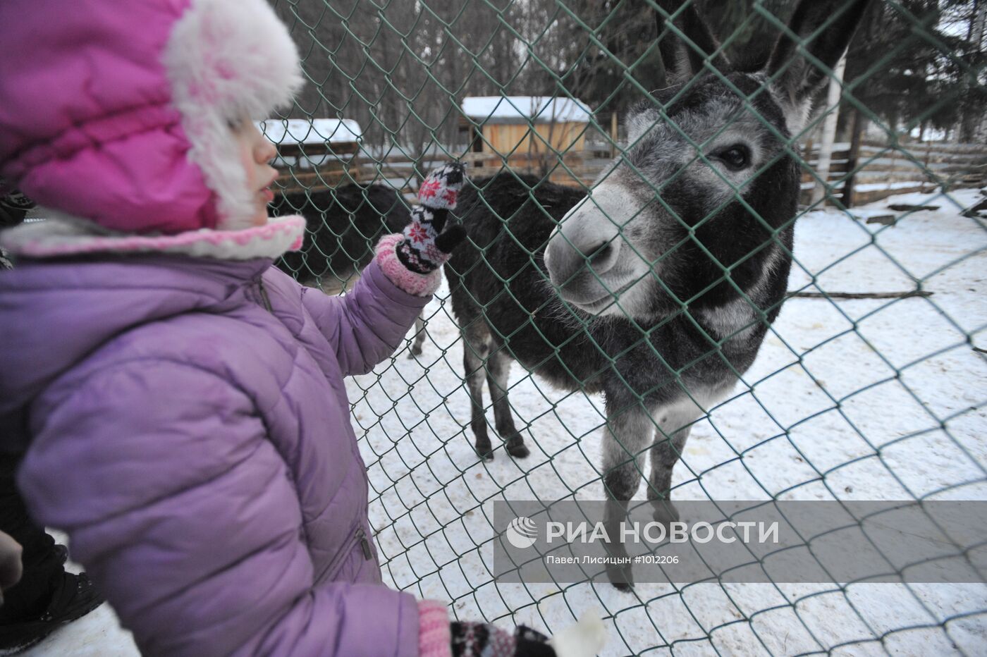 Зимний отдых горожан в ЦПКиО им. Маяковского в Екатеринбурге