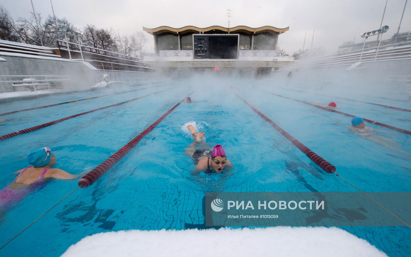 Бассейн чайка разовое посещение