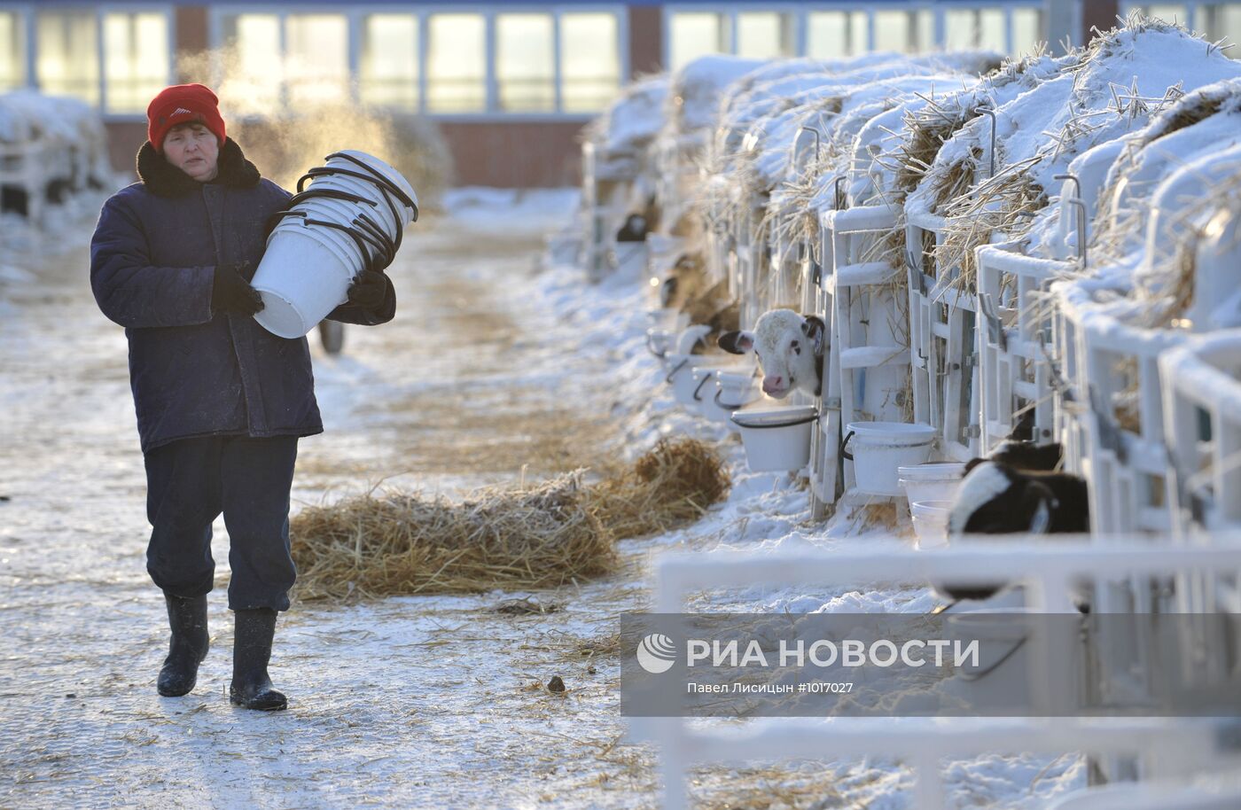 Работа агрофирмы "Патруши" в Свердловской области