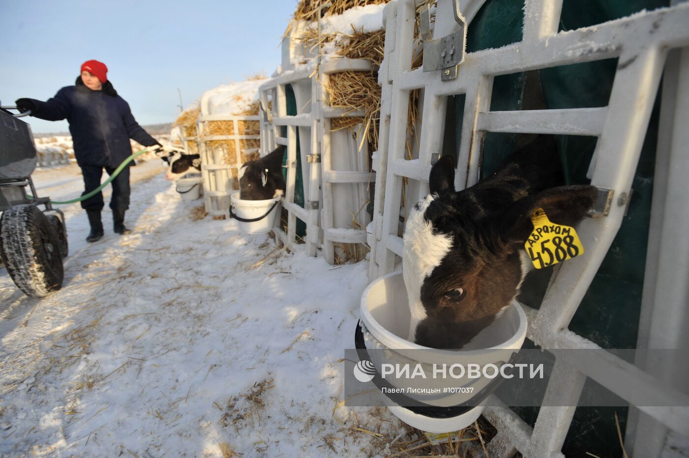 Работа агрофирмы "Патруши" в Свердловской области