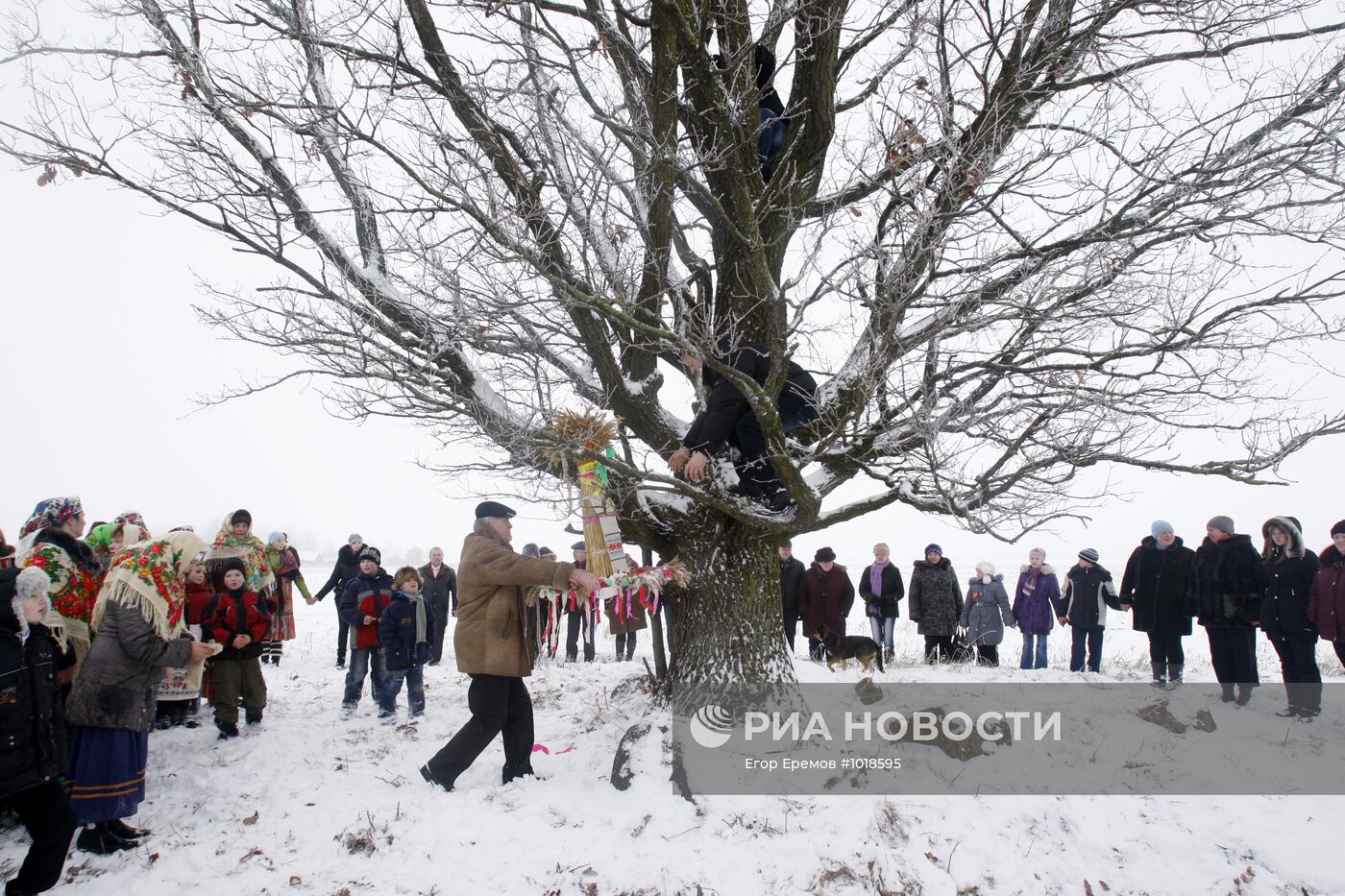 Белорусский обряд "Тянуть Коляду на дуба" в деревне Новины