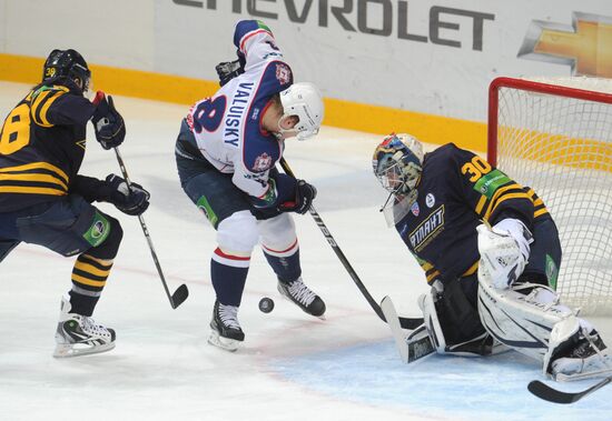 Хоккей. КХЛ. Матч "Атлант" - "Торпедо"