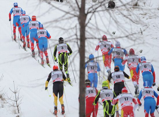 Лыжные гонки. Этап Кубка мира. Скиатлон. Мужчины
